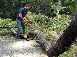 Gothenburg, NE  Tree Services Company